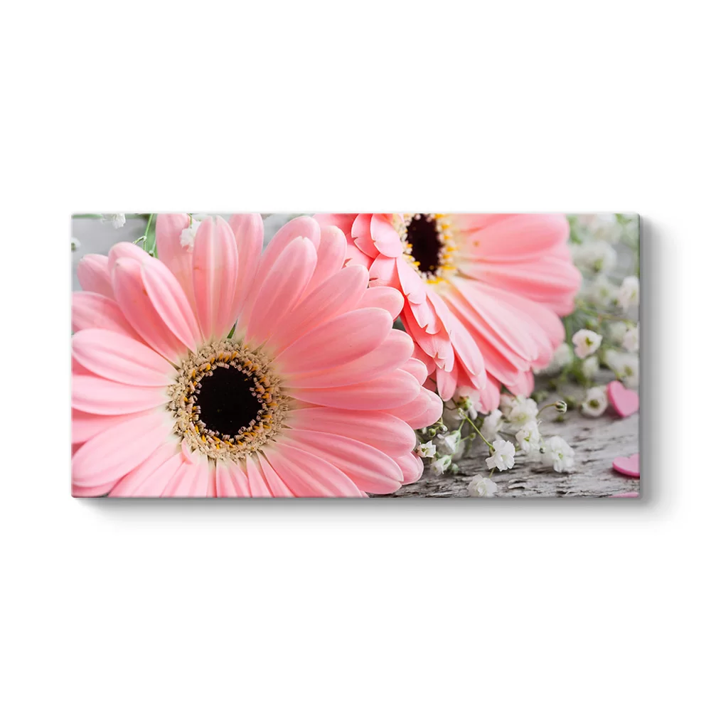 Pembe Gerbera Çiçeği Tablosu - Model 5